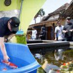 Kabupaten Kediri Menjadi Produsen Ikan Hias Terbesar di Jawa Timur