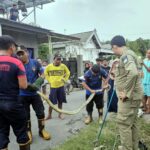 Gegerkan Warga, Damkar Kabupaten Kediri Evakuasi Ular Piton 3 Meter