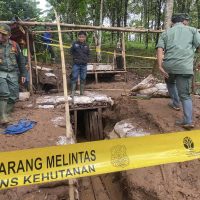 Pemerintah Ungkap Ada 1.400 Tambang Emas di TNGHS Tanpa Izin