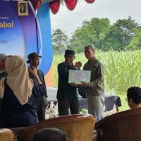 Petani Cabai di Kediri Terima Pembekalan Sekolah Lapang Pengendalian Hama Terpadu