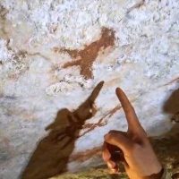 Ditemukan Lukisan Tertua di Dunia Berusia 67.800 Tahun di Muna Sulawesi Tenggara