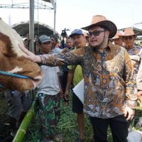 Bupati Kediri Dorong Kontes Sapi Bisa Digelar Tiap Tahun