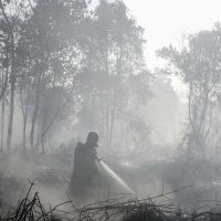 Pemadaman Karhutla Makin Sulit, BNPB: Sumber Air Mulai Menyusut