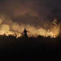 BNPB: 18.421 Hektare Lahan di Sumatera dan Kalimantan Masih Terbakar